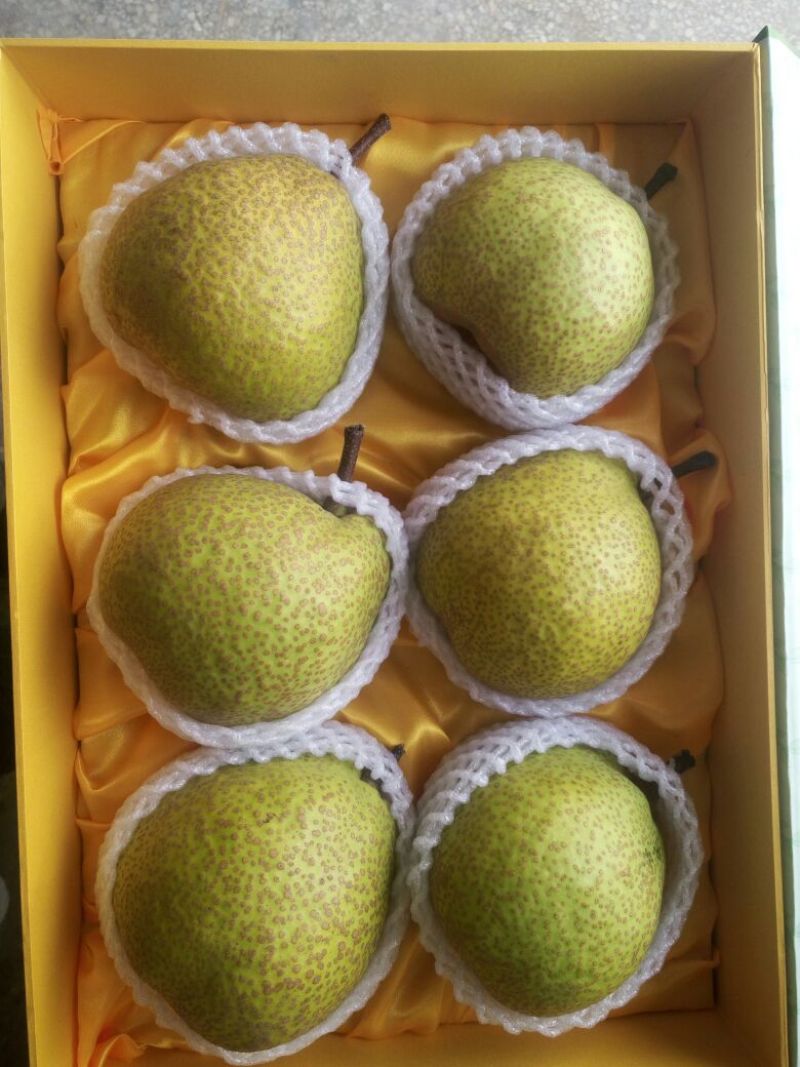 莱阳梨350~400g纸箱