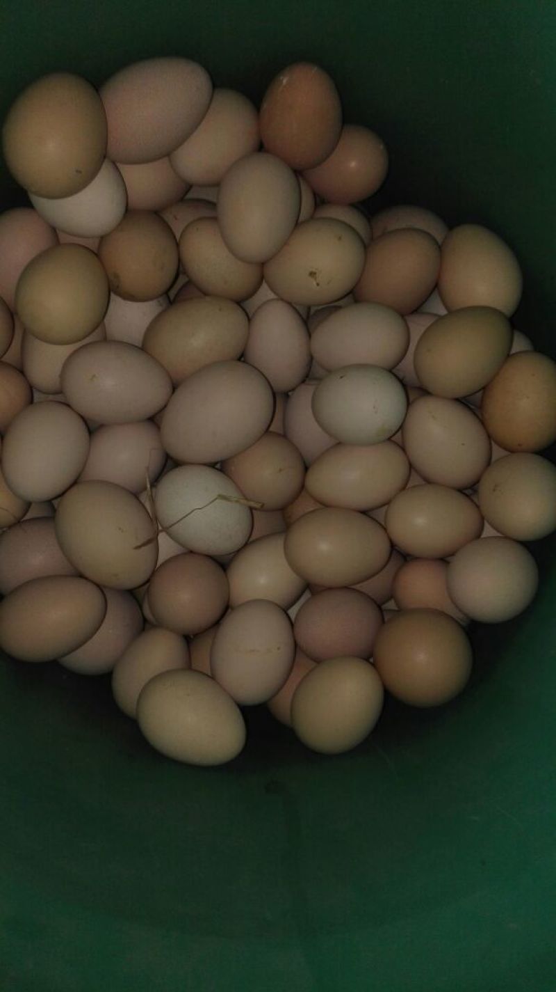土鸡蛋食用50g以下