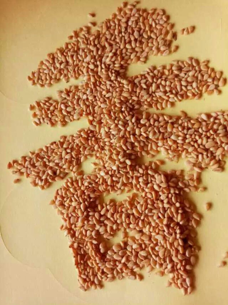 芝麻油