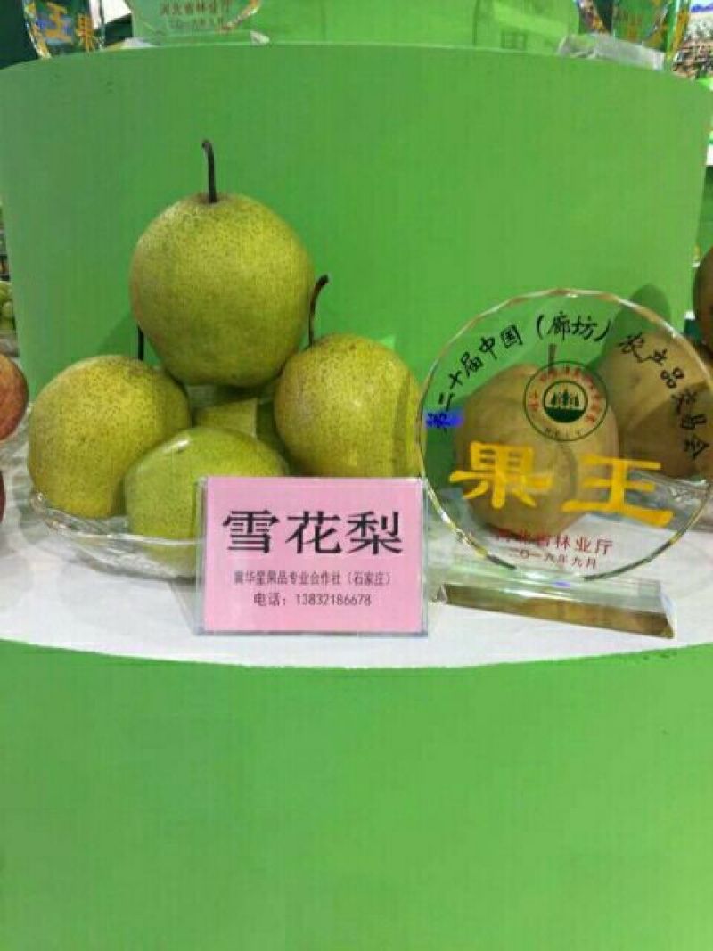 雪花梨450~500g纸箱