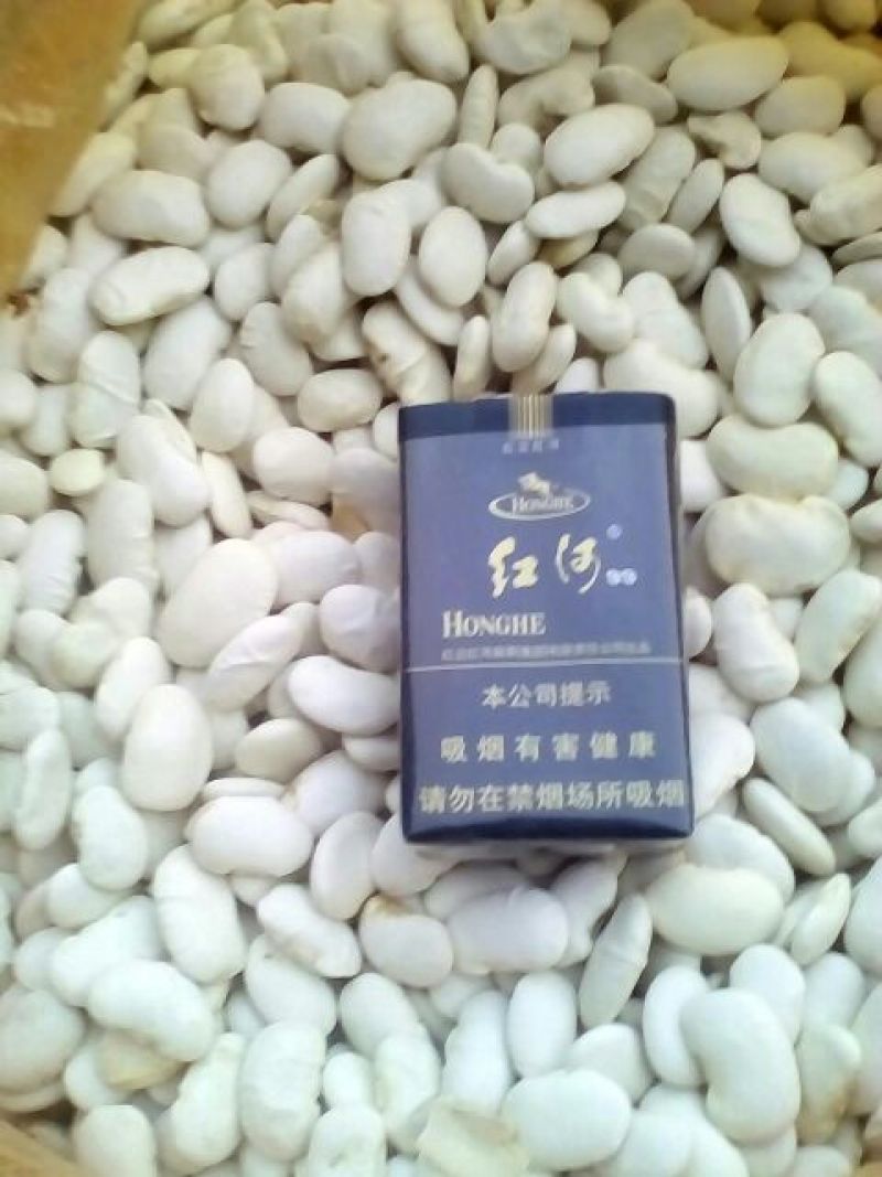 西班牙白豆