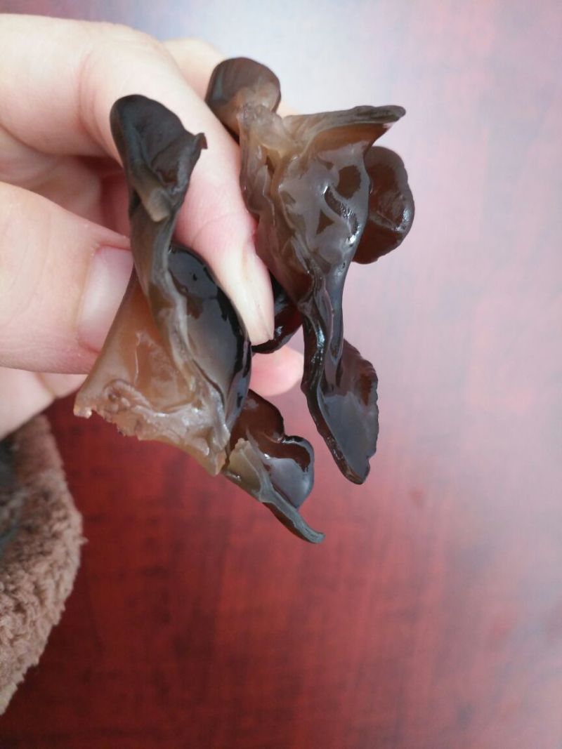 黑木耳特级