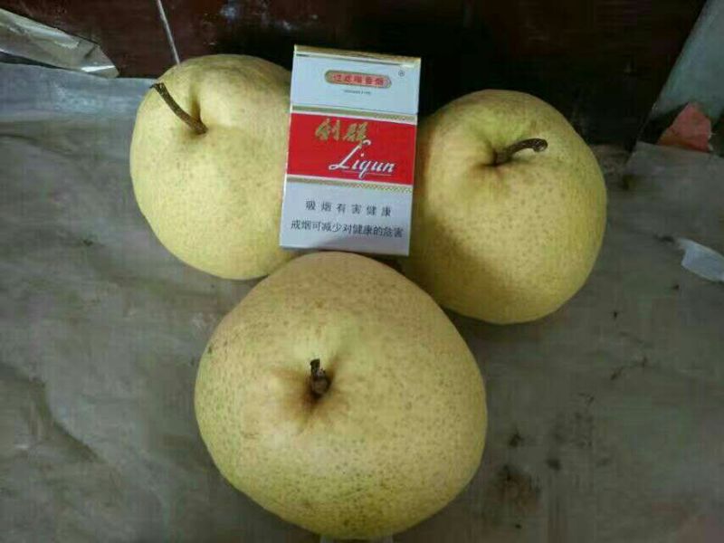 贡梨200~250g纸袋