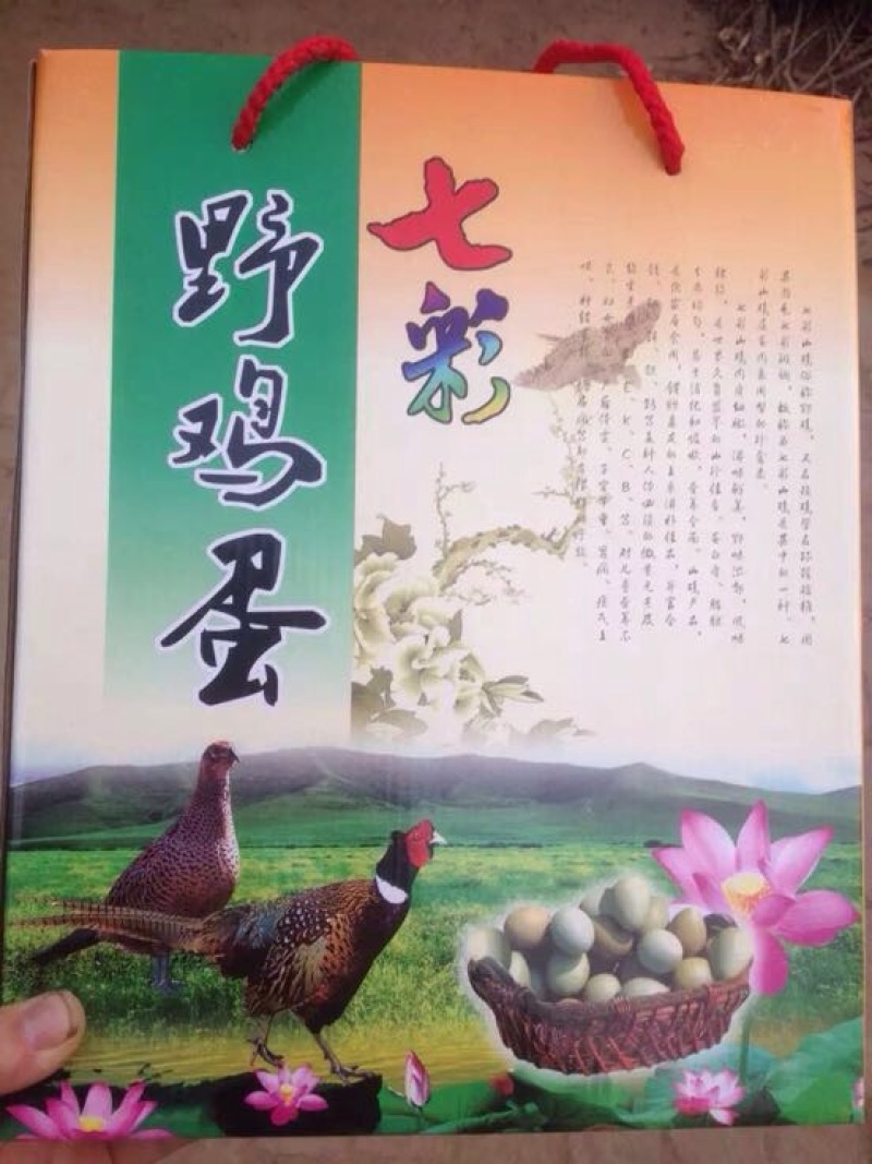 野鸡蛋