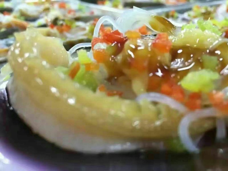 天鹅蛋贝