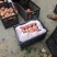 精品红不软桃85以上大量上市