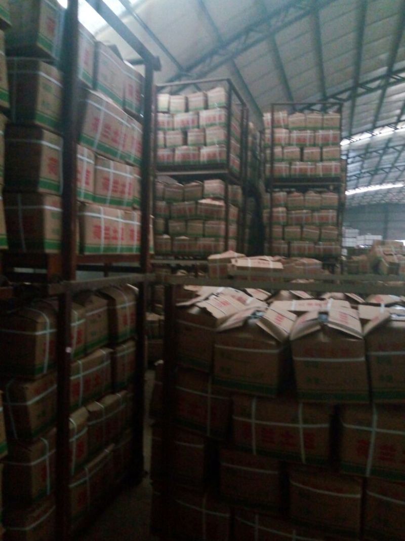 山东荷兰十五土豆产地产地货源一手货物全国发货