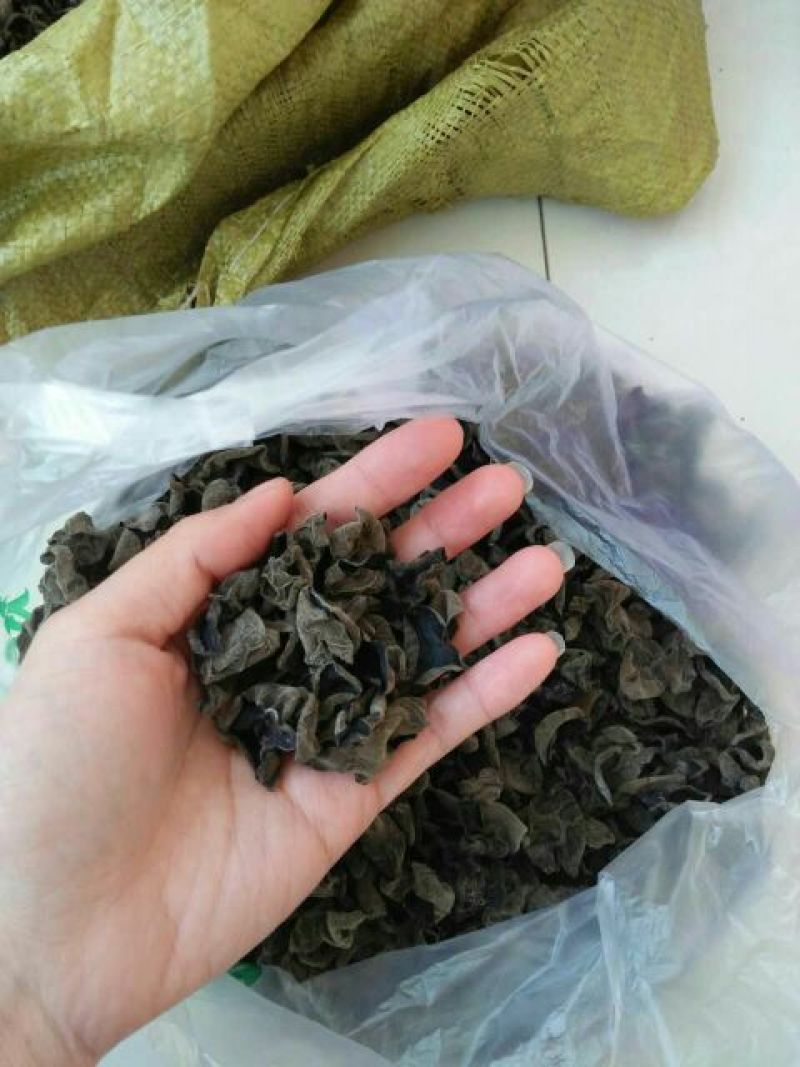 黑木耳一级