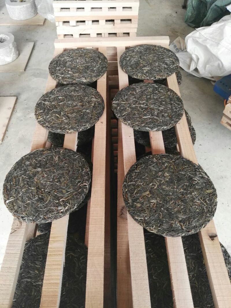 古树普洱茶一级