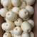 皇冠梨250~300g纸箱