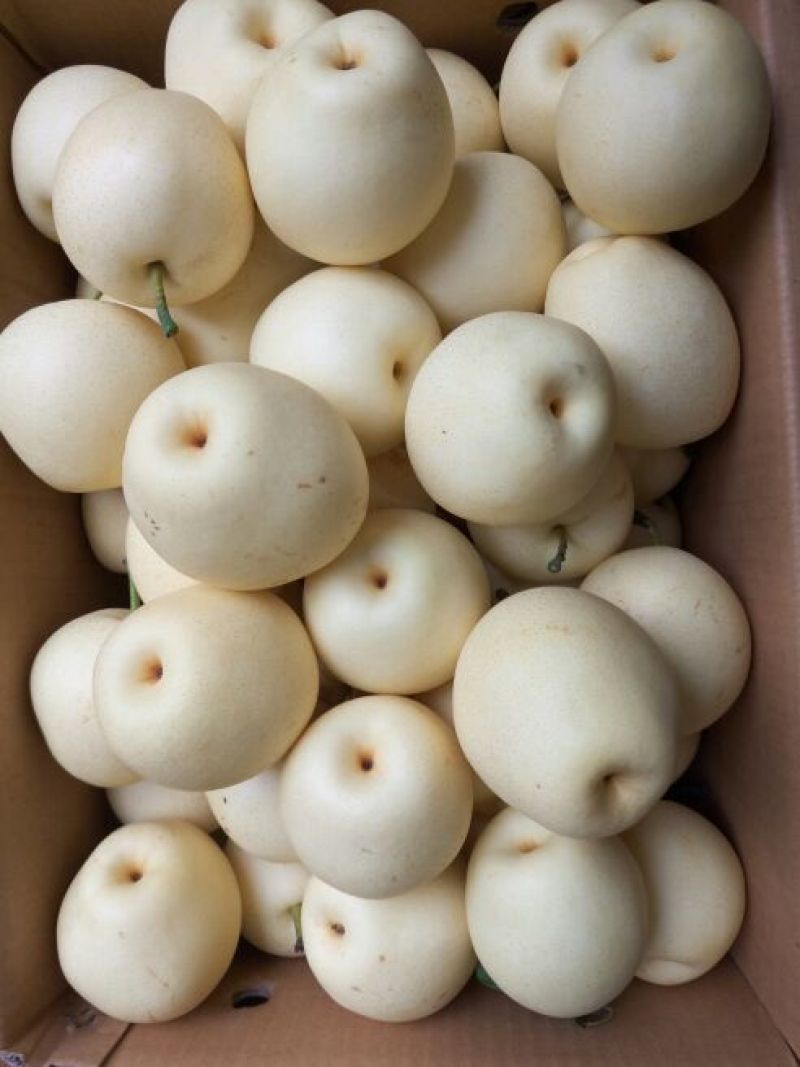 皇冠梨250~300g纸箱