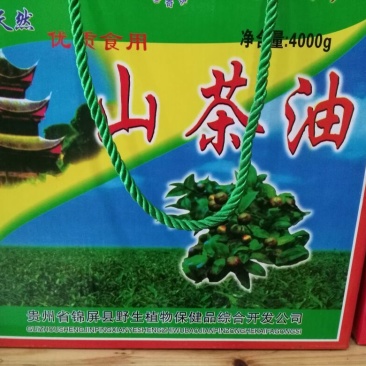 山茶油