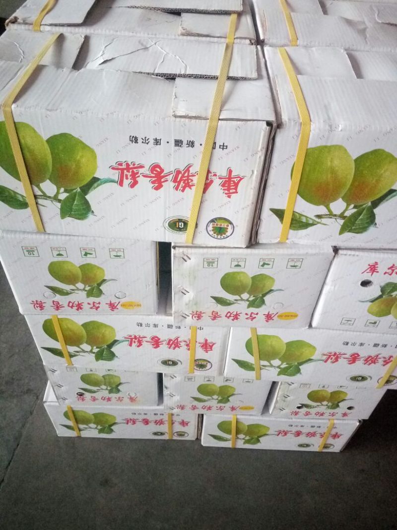 库尔勒香梨60~100g55mm母