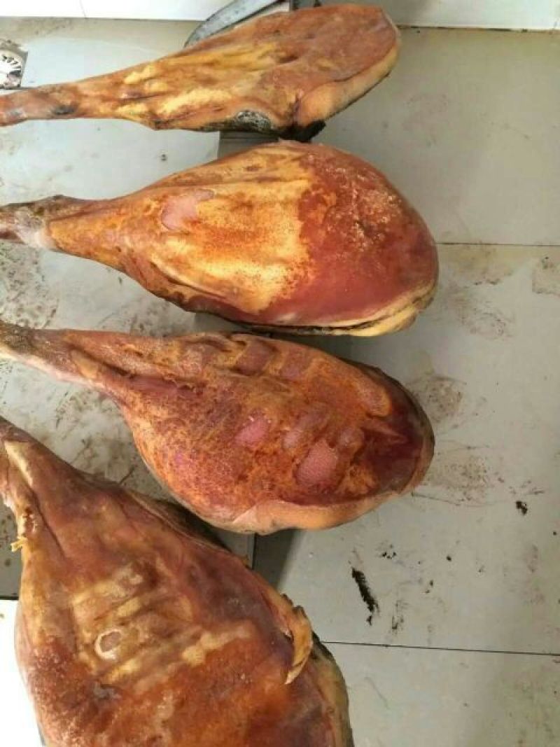 火腿