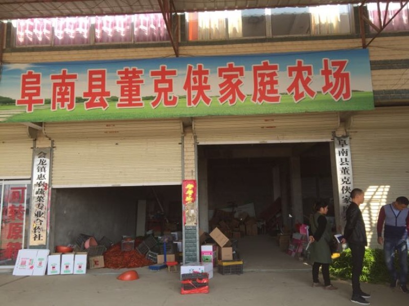 优质精品黑皮线椒，价格美丽大量走保证质量