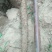 麻山药3~4厘米