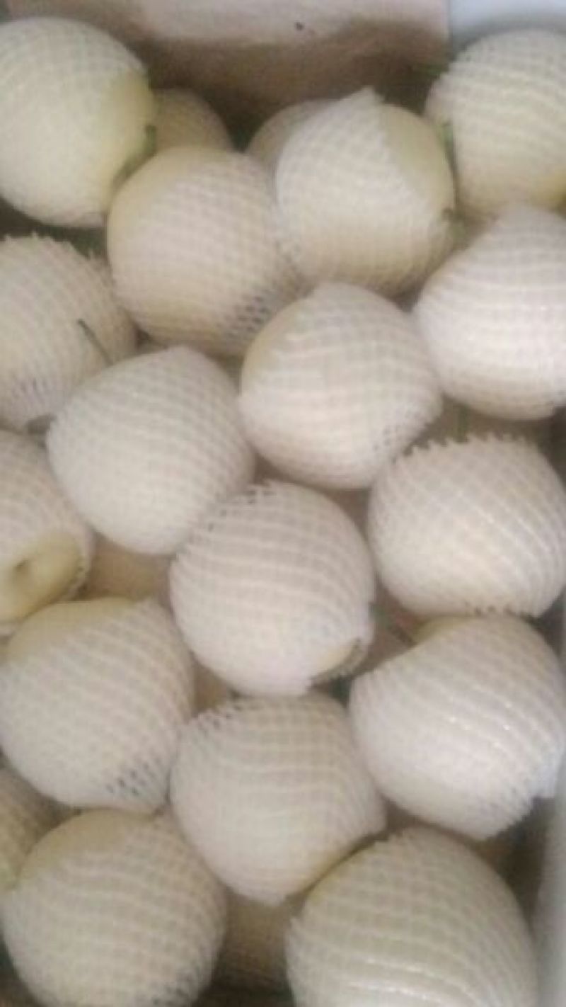 皇冠梨300~350g纸袋