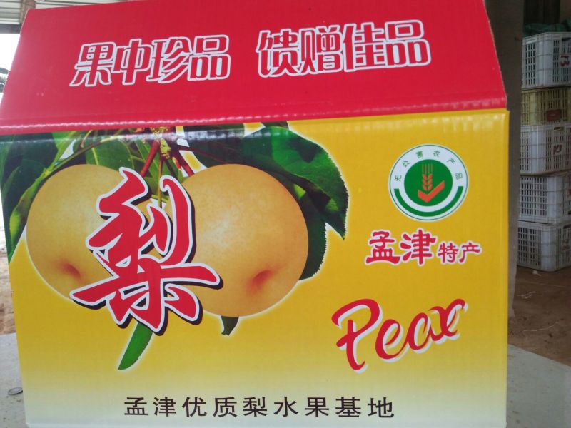 爱宕梨300~350g纸袋