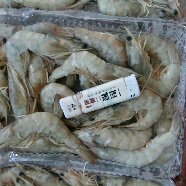 南美白对虾食用冻虾