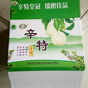 皇冠梨250~300g纸箱