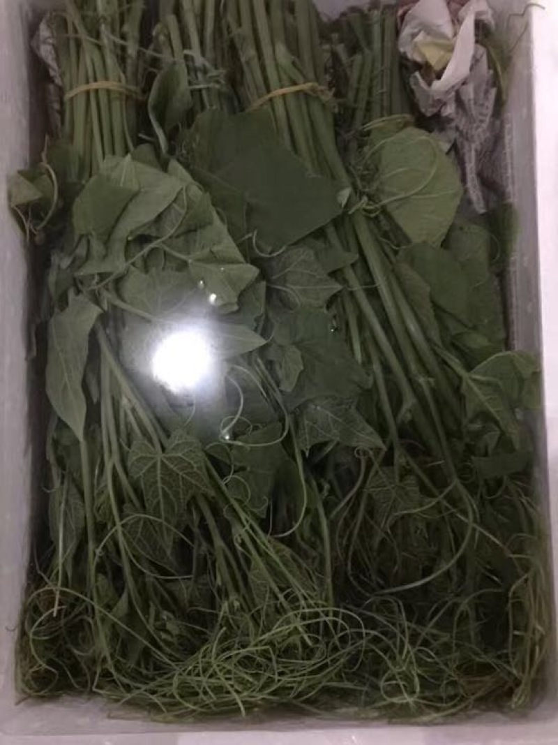 金瓜