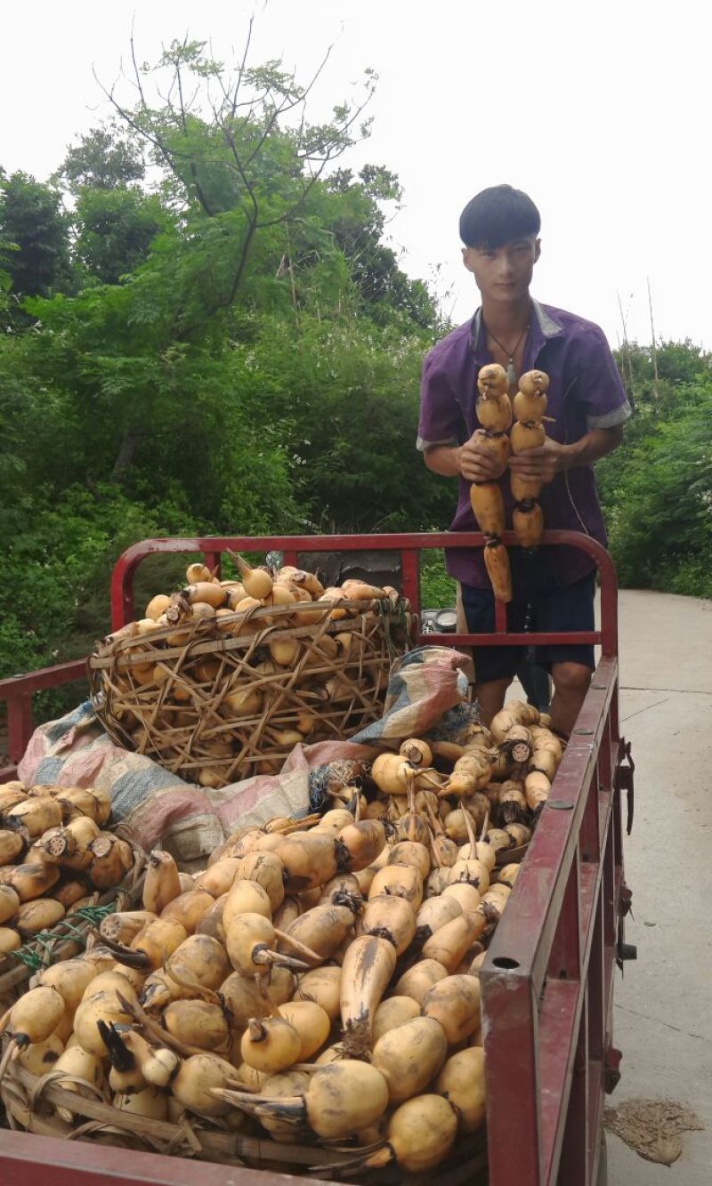 淀粉散装