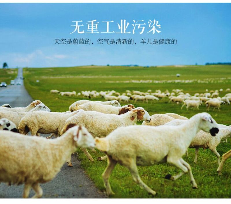 羊全排绵羊肉是