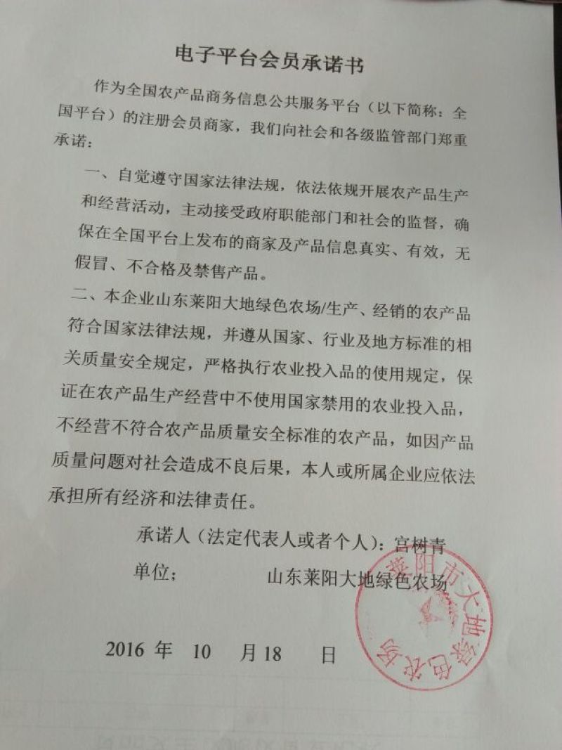 秋月梨400~450g纸箱