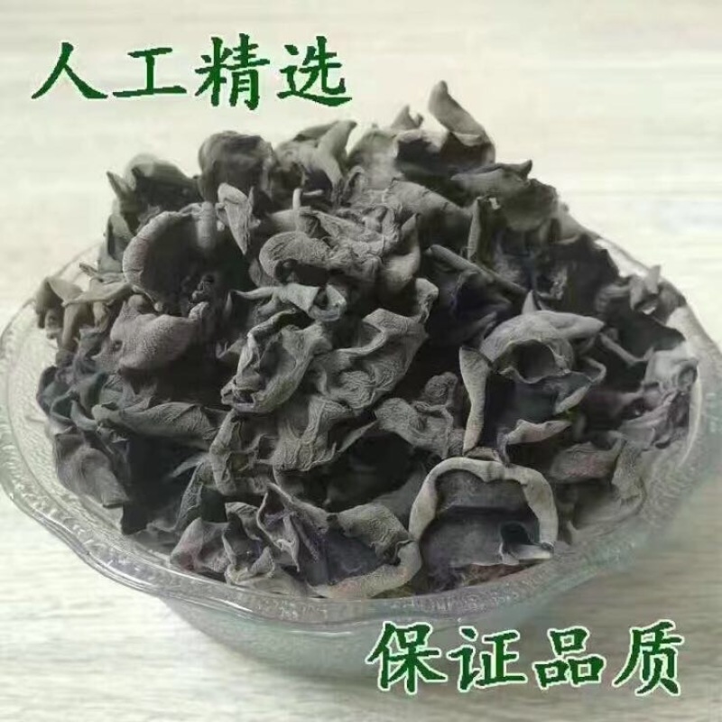 木耳