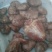 驴肉鲜货