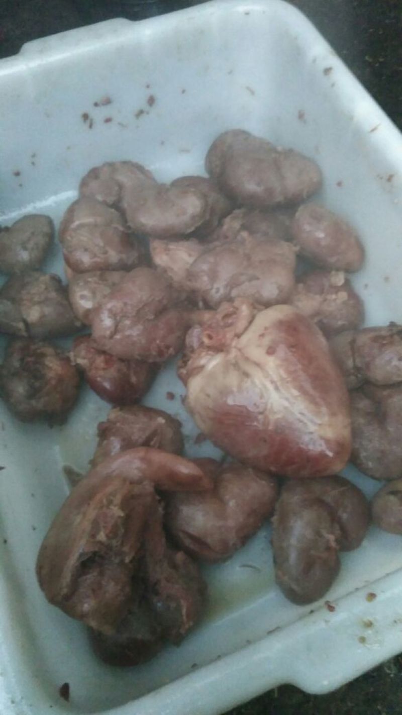 驴肉鲜货