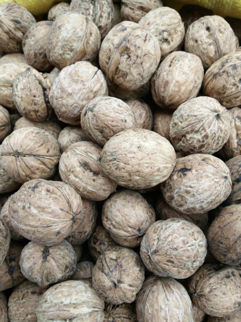 香玲核桃去皮干