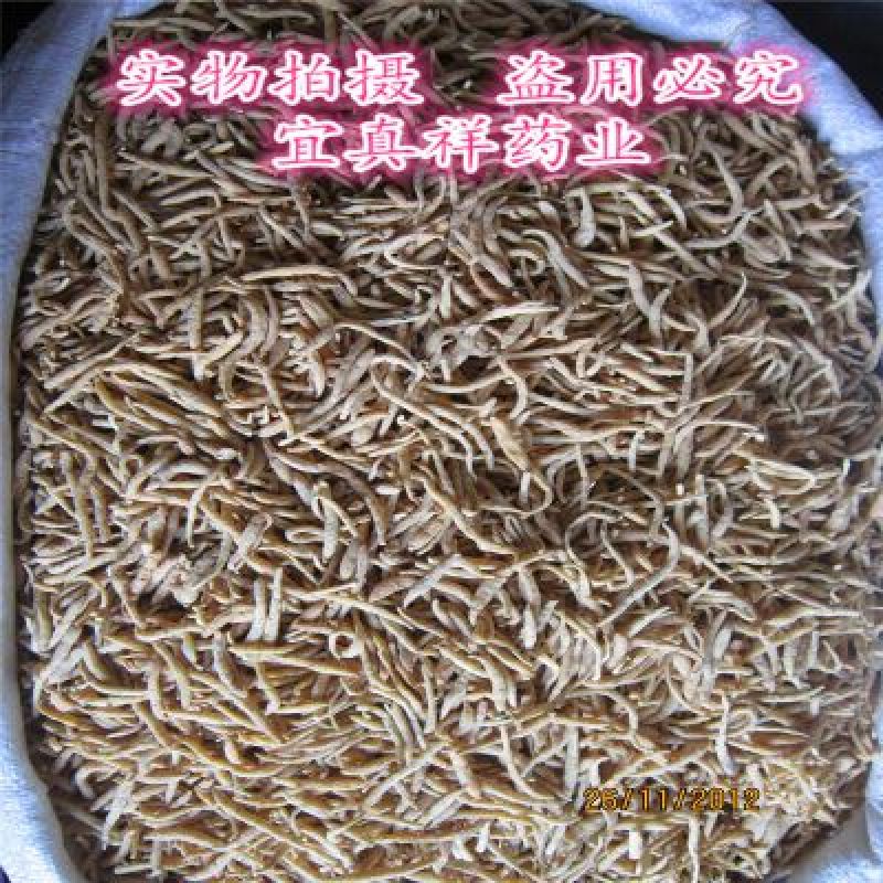 太子参