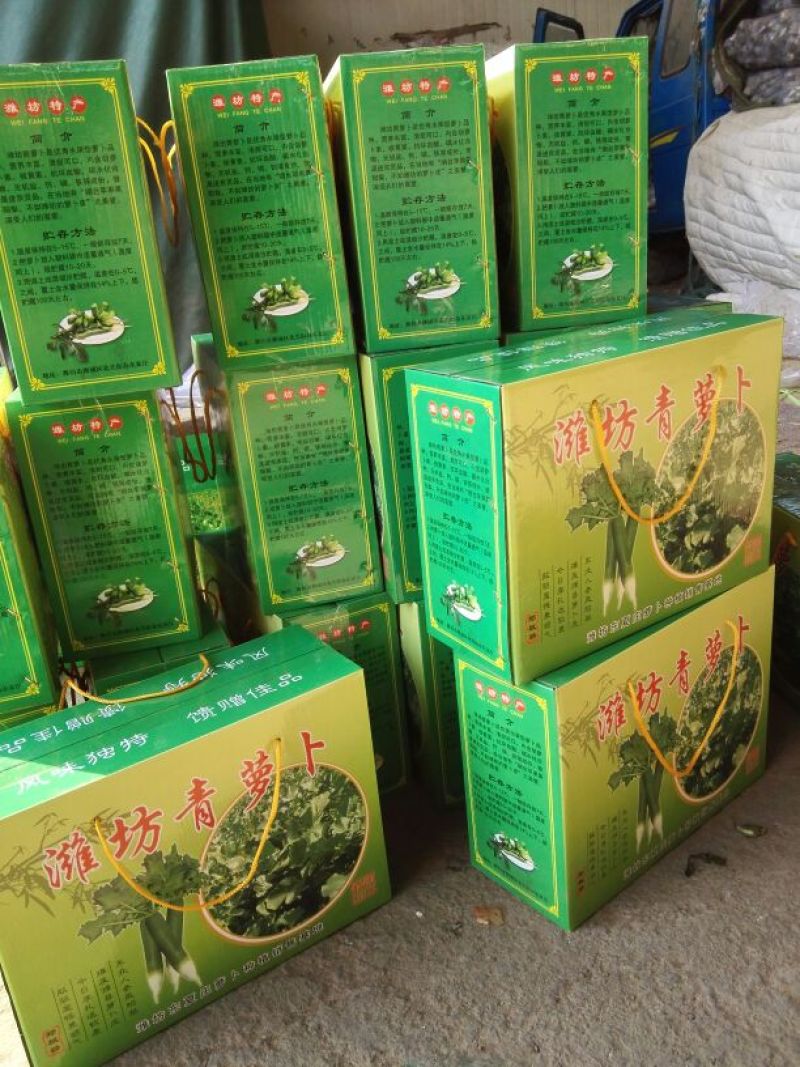 潍县萝卜1~1.5斤起