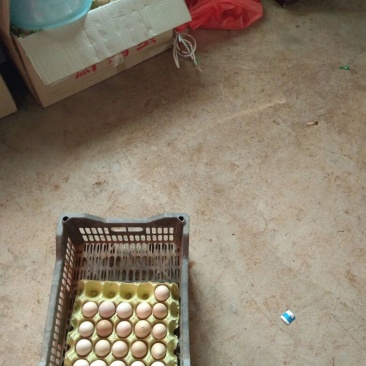 土鸡蛋食用50g以下
