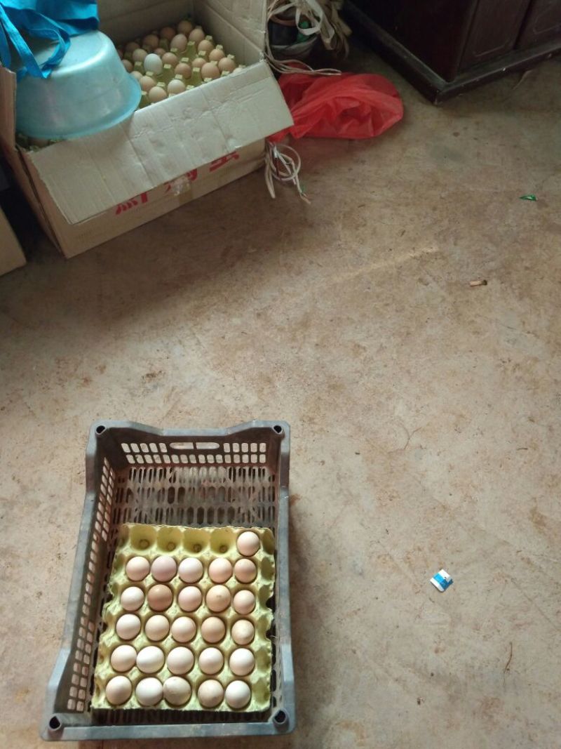 土鸡蛋食用50g以下