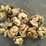 薄皮核桃30mm以上去皮干