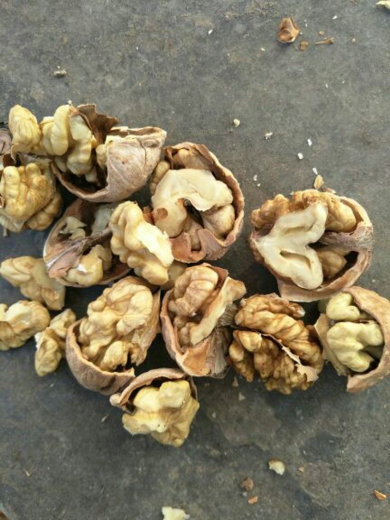 薄皮核桃30mm以上去皮干