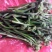 山野菜