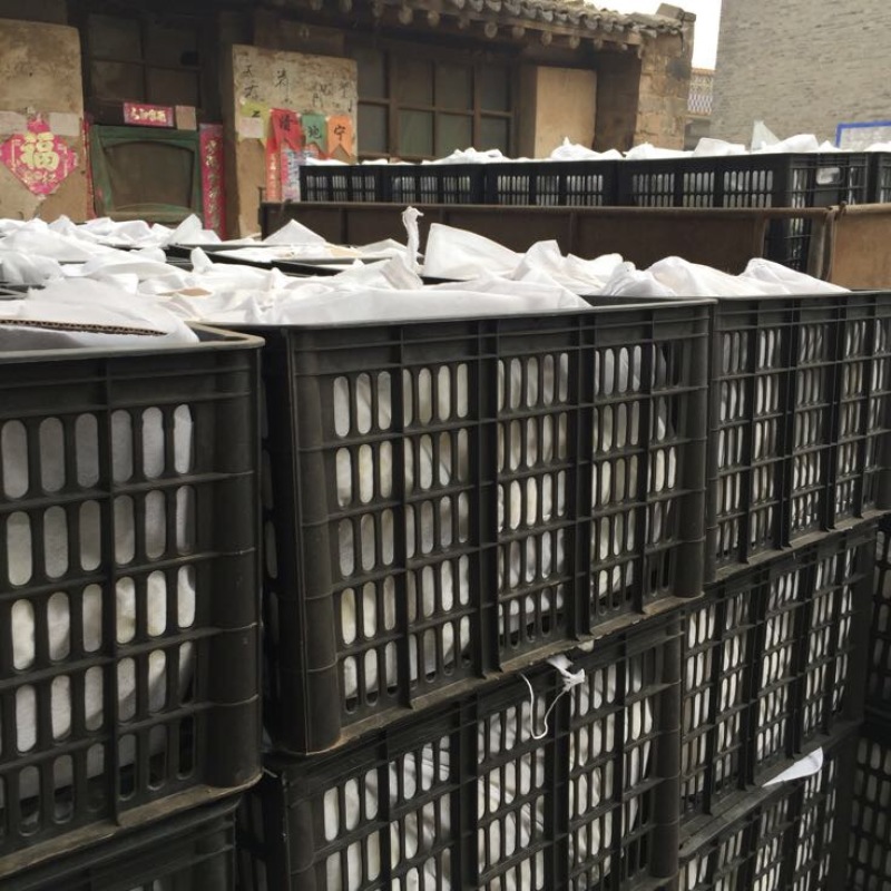 雪花梨纸袋250~300g大量上市山西吕梁文水雪梨