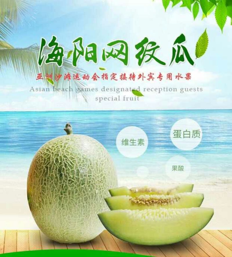 网纹瓜2斤以上椭圆形