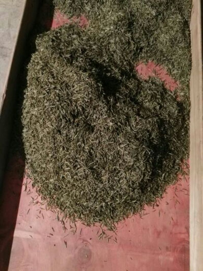 川茶二级