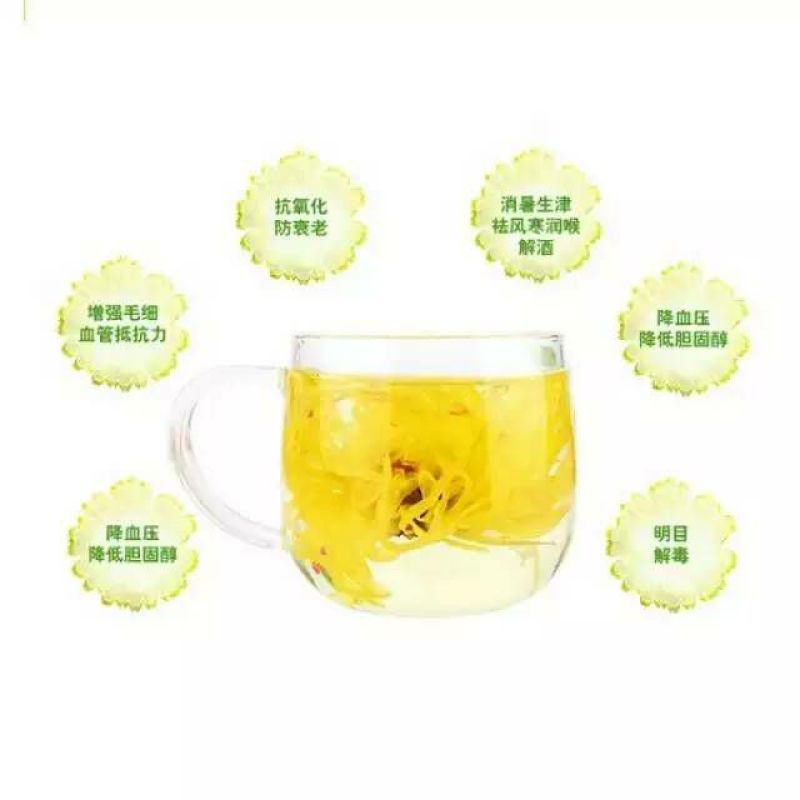 皇菊茶