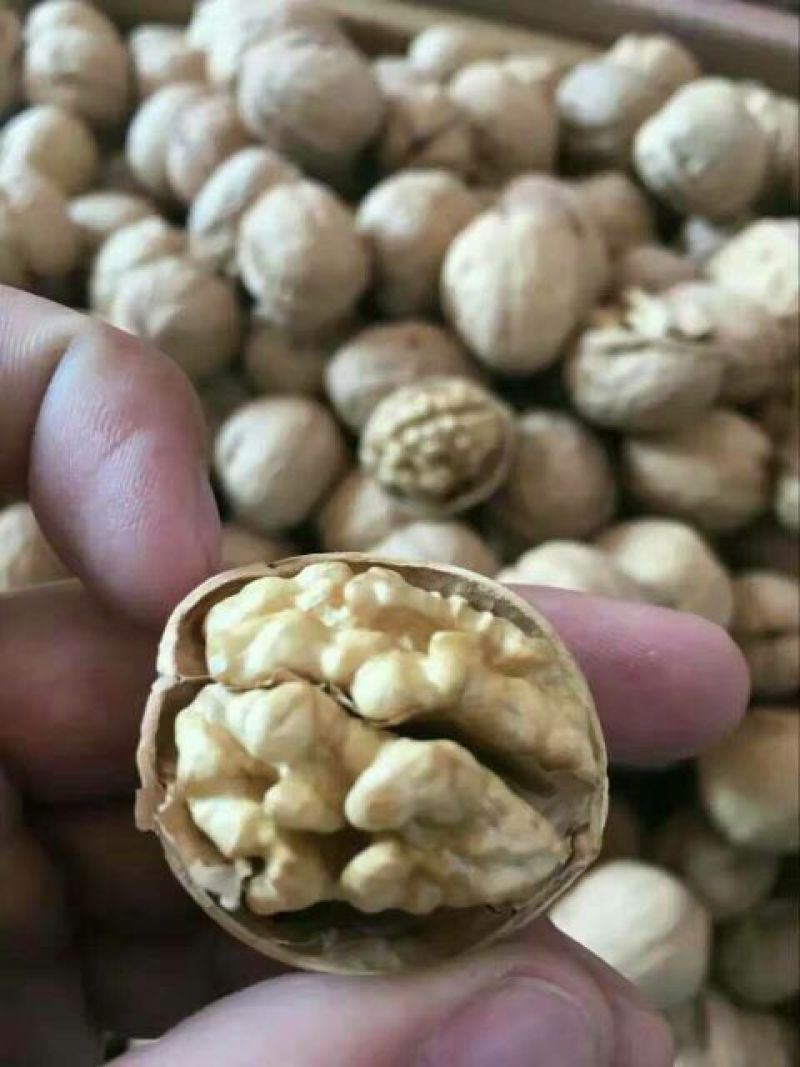 薄皮核桃30mm以上去皮干