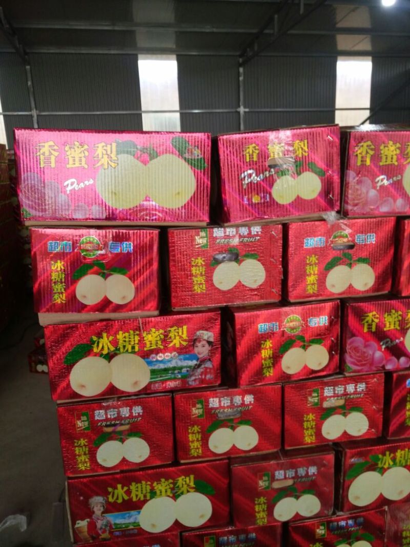 【优质】陕西蒲城酥梨，基地直发，纸袋150~200g