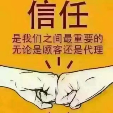 礼泉酥梨250~300g纸箱