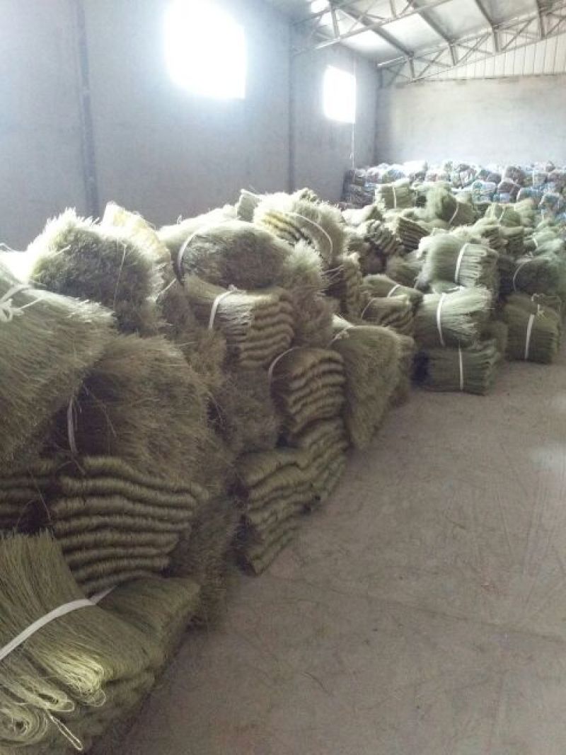 红薯粉条中粉