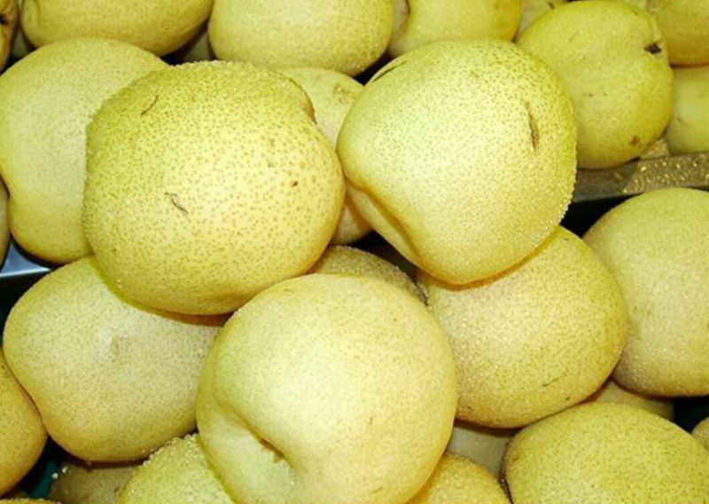 圆黄梨150~200g纸箱