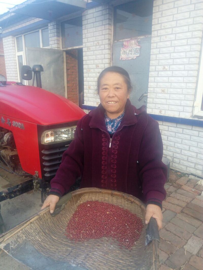 红小豆袋装