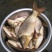 河鲤鱼食用2~3公斤